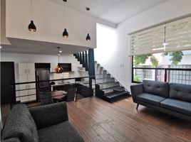 在Campeche出租的2 卧室 公寓, Carmen, Campeche