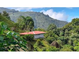 2 Schlafzimmer Haus zu verkaufen in Bugaba, Chiriqui, Cerro Punta, Bugaba