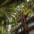 Appartement 1 chambre à vendre à Cozumel, Quintana Roo, Cozumel