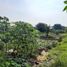Terrain à vendre à Cikupa, Banten, Cikupa
