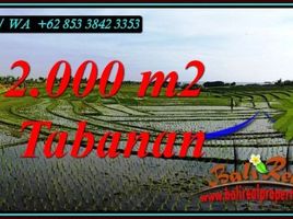  Land for sale in Kerambitan, Tabanan, Kerambitan