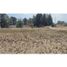  Land for sale in Nativitas, Tlaxcala, Nativitas, Tlaxcala