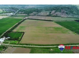  Land for sale in Rocafuerte, Manabi, Rocafuerte, Rocafuerte