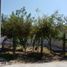 7 Schlafzimmer Villa zu verkaufen in Torreon, Coahuila, Torreon