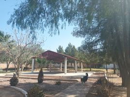  Land for sale in Jesus Maria, Aguascalientes, Jesus Maria