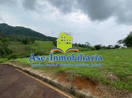  Land for sale in Caqueta, Florencia, Caqueta