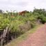  Land for sale in Kuta Beach, Kuta, Kuta