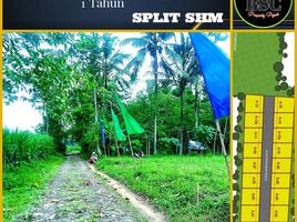  Land for sale in Jabung, Malang Regency, Jabung