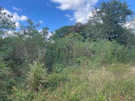  Grundstück zu verkaufen in Yaxkukul, Yucatan, Yaxkukul