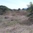  Land for sale in Manabi, Portoviejo, Portoviejo, Manabi