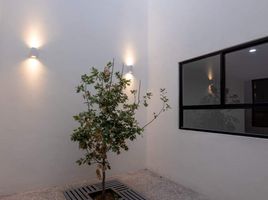 Condominium 3 chambre à vendre à San Luis Potosi, San Luis Potosi, San Luis Potosi, San Luis Potosi