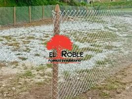  Land for sale in El Carmen De Viboral, Antioquia, El Carmen De Viboral