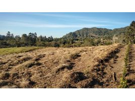 Terrain à vendre à La Ceja, Antioquia, La Ceja, Antioquia