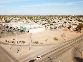  Grundstück zu vermieten in Mexicali, Baja California, Mexicali, Baja California
