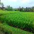  Land for sale in Selemadeg, Tabanan, Selemadeg