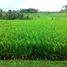  Land for sale in Selemadeg, Tabanan, Selemadeg