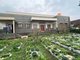 4 Bedroom Villa for sale in Lembang, West Jawa, Lembang