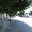 3 Bedroom House for rent in Ibague, Tolima, Ibague, Tolima