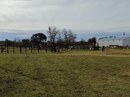  Terrain for sale in Uruguay, Entre Rios, Uruguay