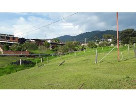  Terreno (Parcela) en venta en Valle Del Cauca, Tulua, Valle Del Cauca