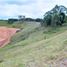  Land for sale in Guarne, Antioquia, Guarne