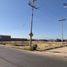  Land for rent in Durango, Durango, Durango, Durango