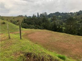  Land for sale in Retiro, Antioquia, Retiro