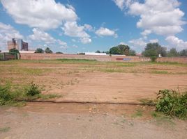  Terreno (Parcela) en alquiler en Aguascalientes, Jesus Maria, Aguascalientes