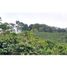  Land for sale in Dosquebradas, Risaralda, Dosquebradas