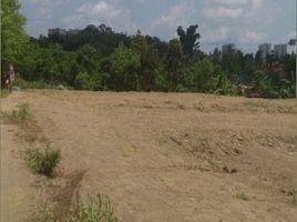  Land for sale in Yogyakarta, Kalasan, Sleman, Yogyakarta