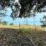  Terreno (Parcela) en venta en Nueva Gorgona, Chame, Nueva Gorgona