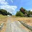  Terreno (Parcela) en venta en Nueva Gorgona, Chame, Nueva Gorgona