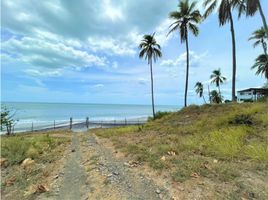  Terreno (Parcela) en venta en Nueva Gorgona, Chame, Nueva Gorgona