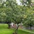 4 Bedroom House for sale in Tepoztlan, Morelos, Tepoztlan