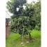 4 Bedroom Villa for sale in Tepoztlan, Morelos, Tepoztlan