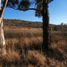  Land for sale in Charo, Michoacan, Charo