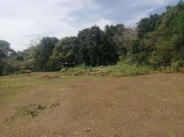  Land for sale in Rosario, La Union, Rosario