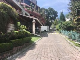 3 Bedroom Villa for rent in Alvaro Obregon, Mexico City, Alvaro Obregon, Mexico City