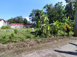  Land for sale in Prambanan, Klaten, Prambanan