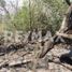  Terreno (Parcela) en venta en Tepoztlan, Morelos, Tepoztlan