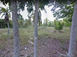  Land for sale in Panglao, Bohol, Panglao