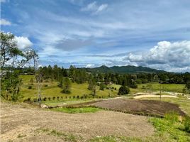  Grundstück zu verkaufen in Retiro, Antioquia, Retiro