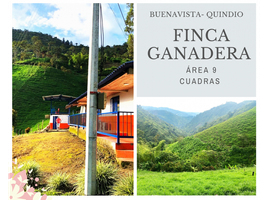 2 Habitación Villa en venta en Pijao, Quindio, Pijao