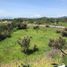  Land for sale in Miacatlan, Morelos, Miacatlan