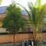 4 Kamar Rumah for sale in Tambaksari, East Jawa, Tambaksari