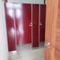50 m² Office for rent in San Andres Cholula, Puebla, San Andres Cholula