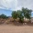  Land for sale in Ajacuba, Hidalgo, Ajacuba