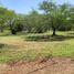  Land for sale in Rayones, Nuevo Leon, Rayones