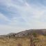  Land for sale in Tarimbaro, Michoacan, Tarimbaro