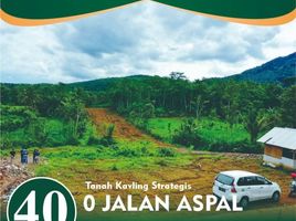  Land for sale in Pakisaji, Malang Regency, Pakisaji